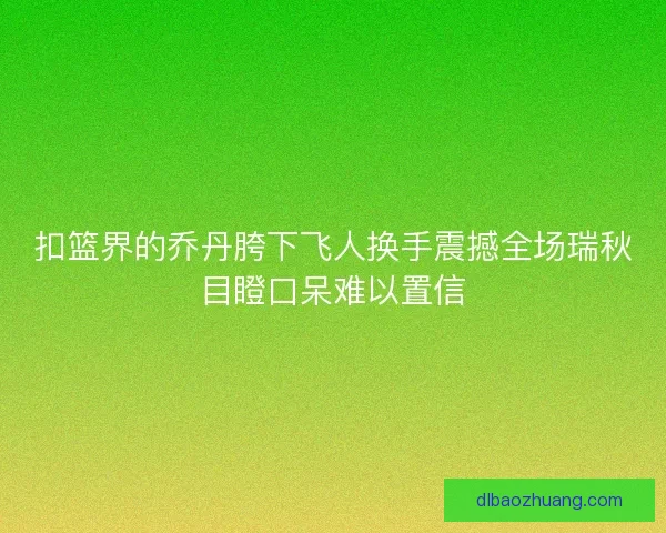 扣篮界的乔丹胯下飞人换手震撼全场瑞秋目瞪口呆难以置信
