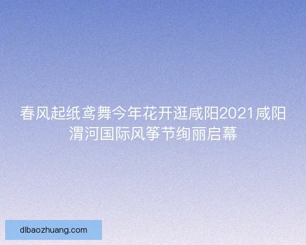 春风起纸鸢舞今年花开逛咸阳2021咸阳渭河国际风筝节绚丽启幕