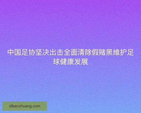 中国足协坚决出击全面清除假赌黑维护足球健康发展